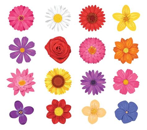 Imagenes De Flores Para Imprimir Y Recortar Flores De Papel Images