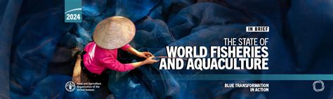 Fao Report Global Fisheries And Aquaculture Production Reaches A New