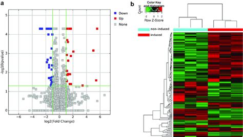 Volcano Plot And Heat Map Of Differentially Expressed Lncrnas A