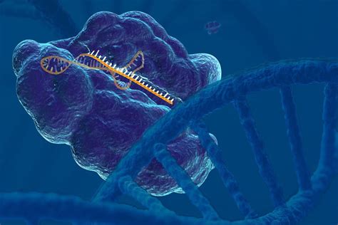 Using CRISPR Gene Editing Technology as a Research Tool to Develop Cancer Treatments