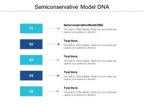 Semiconservative Model DNA Ppt Powerpoint Presentation Gallery Design ...