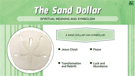 The Spiritual Meaning and Symbolism of the Sand Dollar - A-Z Animals