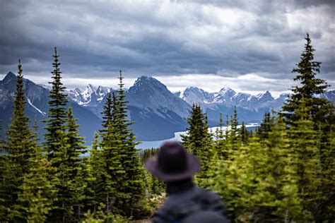 Canada Guide Pratique Et Incontournables De L Ouest Wild Birds