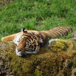 Best Zoos Near Me - July 2019: Find Nearby Zoos Reviews - Yelp