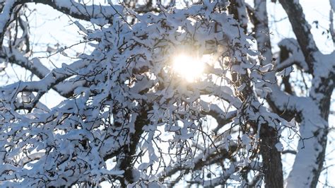 Polarluft Bringt Temperatursturz Wo Es Schnee Bis Ins Flachland Gibt