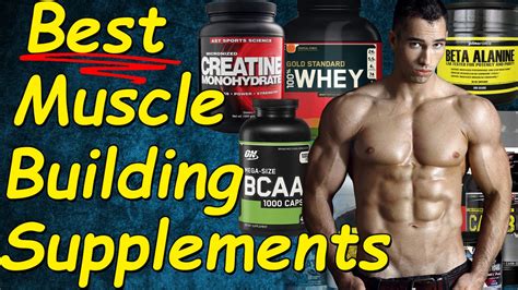 Best Muscle Building Supplements Best Supplements For Muscle Gain