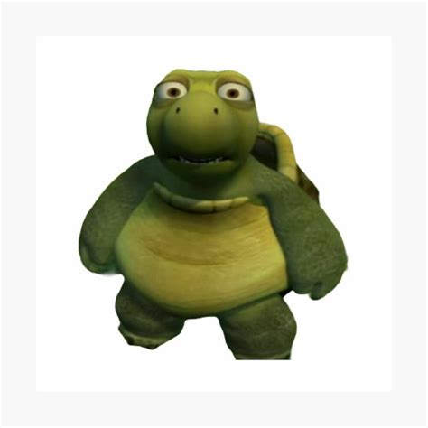 Shocked Turtle HUH Know Your Meme, 40% OFF