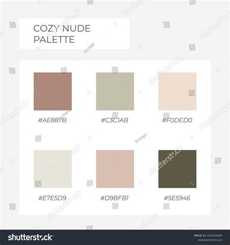 Cozy Nude Palette Trendy Pallete Color Stock Vector Royalty Free