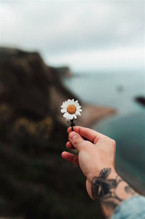 Hands Bouquet Flowers Tattoo HD Phone Wallpaper Peakpx