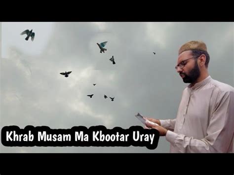 Teez Hawa Ma New Kabootar Uray Hashim Mahmood Pigeons Youtube