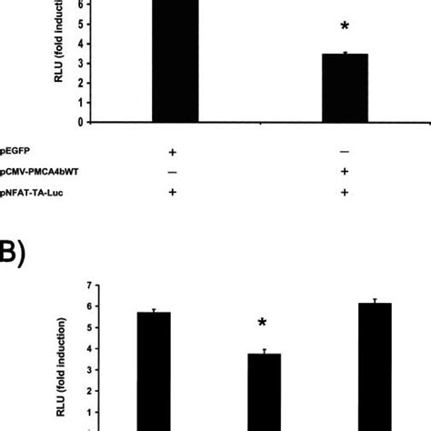 PMCA4b Significantly Inhibits NFAT Transcriptional Activity A PMCA4b