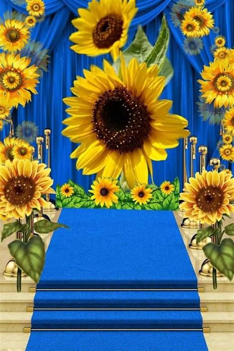 Sun Flowers Yellow Flowers Beautiful Horse Pictures Photo Collage