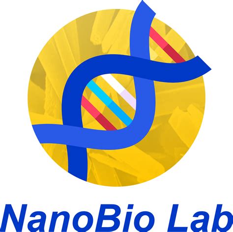 Group Leader Nanobio Lab