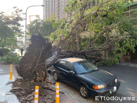 快訊／高雄吹狂風！路樹連根拔起砸車 工地圍籬也被吹翻 Ettoday社會新聞 Ettoday新聞雲