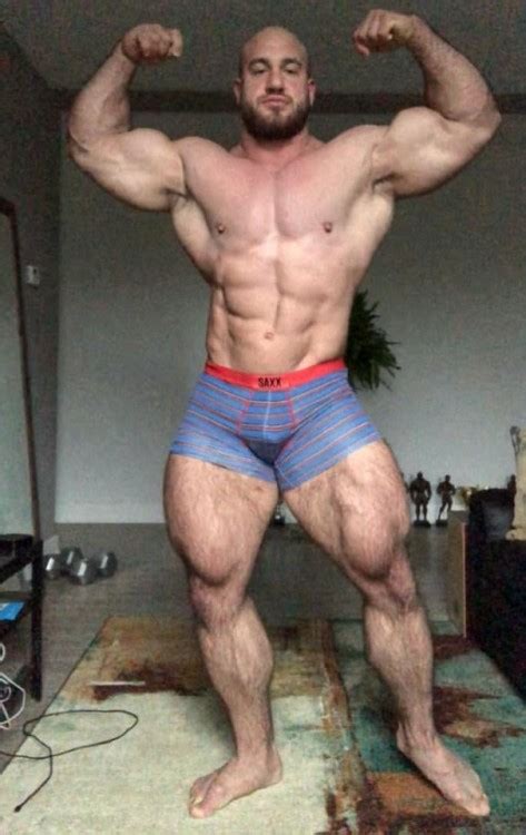 Antoine Vaillant Tumbex