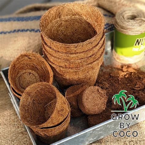 Why Coir Pots Grow By Coco