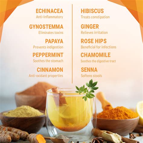 All-Natural Detox Tea for Gentle Cleansing | Total Tea Reviews – Total