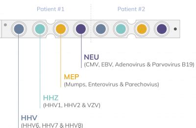 Viral Meningitis Panel - Certest Biotec - Raw Materials | Diagnostics ...