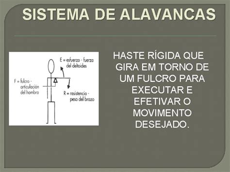 BIOMEC NICA SSEA SISTEMA DE ALAVANCAS SISTEMA DE