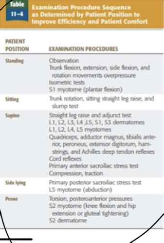 Lecture And Examination And Management Of Msk Dysfunction