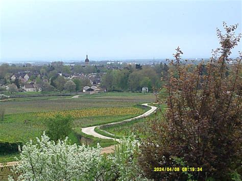 Beaune To Aloxe Corton Route Des Grands Crus Walk