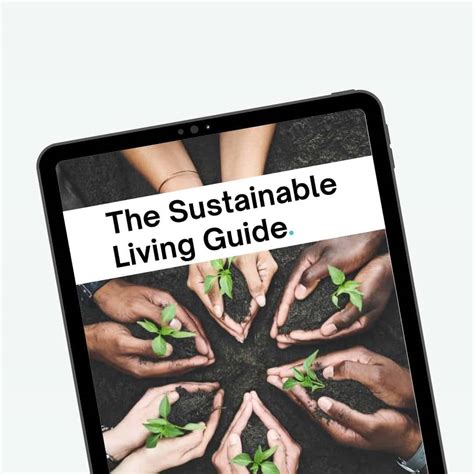 Best Ethical Sustainable Coffee Brands The Sustainable Living Guide