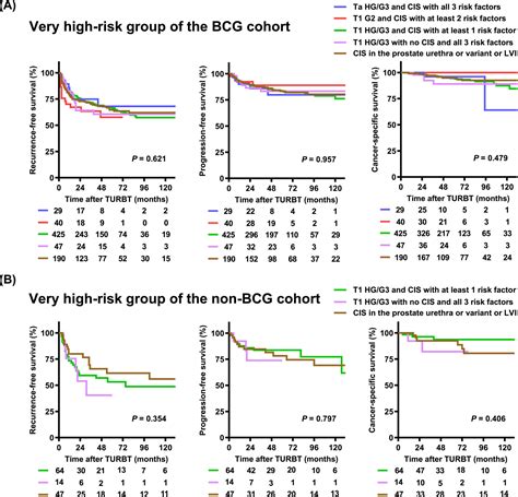 Validation Of Nonmuscleinvasive Bladder Cancer Risk Stratification