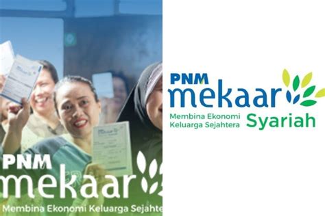 Berita Pnm Mekaar Syariah Terbaru Hari Ini Grid Fame