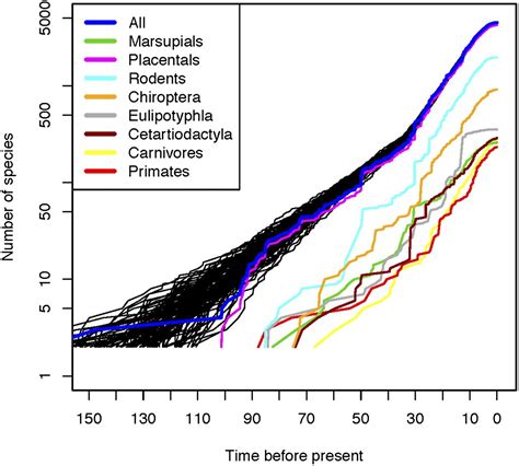 Mammalian Phylogeny Reveals Recent Diversification Rate Shifts Pnas