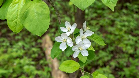 Best Bruce Peninsula Hiking Trails for Nature Lovers | Justin Plus Lauren