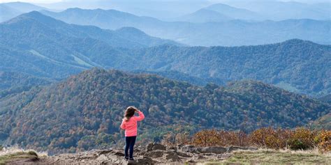 Stone Mountain State Park NC (The 9 Best Things to Do)