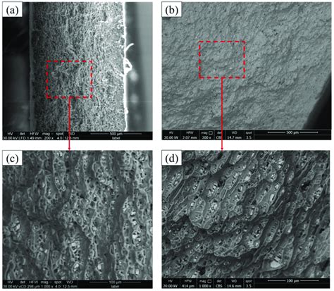 Sem Images Showing The Fracture Surface Of Aa6082 T6 Bms Ac 1 Mm