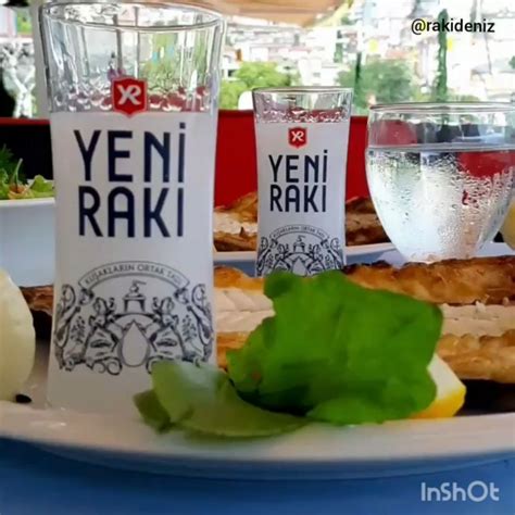 Be Enme Yorum Instagram Da Deniz Rak Rakideniz A Kla