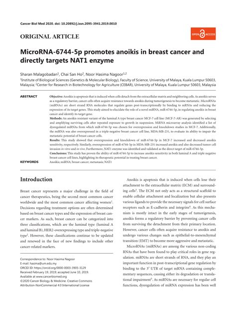 Pdf Microrna P Promotes Anoikis In Breast Cancer And Directly