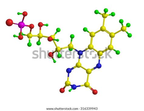 Molecular Structure Flavin Mononucleotide Fmn Stock Illustration ...