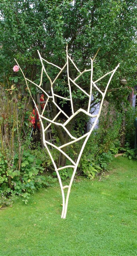 Sweet Pea Climbing Frame From Willow With The Bark Removed