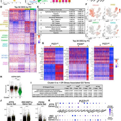 Scrna Seq Demonstrates Transcriptional Heterogeneity Among Download Scientific Diagram