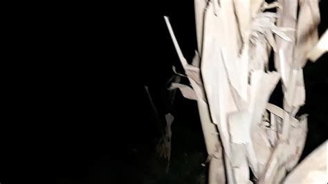 Caught Orgasm Search XVIDEOS