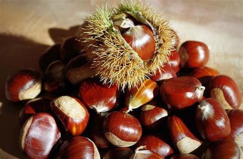 Castagne E Castagna Immagini Gratis Pixabay