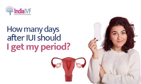 What Happens After Iui Day By Day India Ivf Clinic