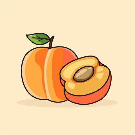 Premium Vector Two Pairs Of Apricots Fruit Vector Illustration