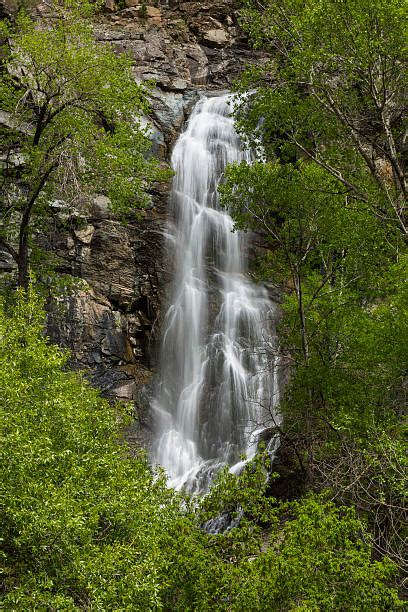 Black Hills Fall Stock Photos Pictures And Royalty Free Images Istock