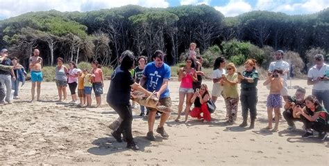 Individuato Il Primo Nido Di Caretta Caretta Sul Litorale Salernitano