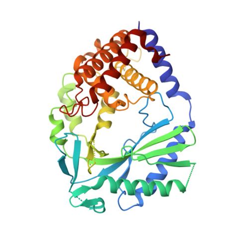 RCSB PDB 7FU4 Crystal Structure Of Human Cyclic GMP Synthase In