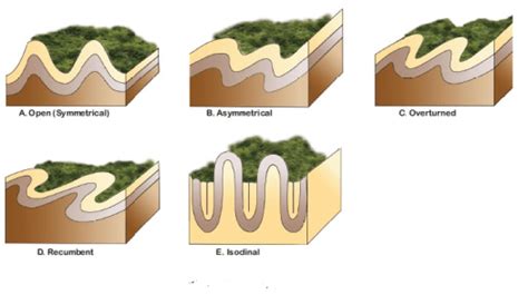 Types Of Folds Insightsias