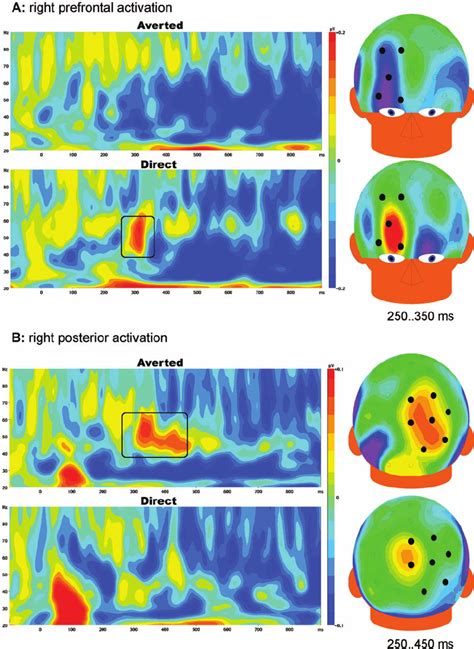 Induced Gamma Band 20 90 Hz EEG Responses To Averted And Direct