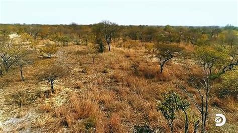 Naked And Afraid TV Series 2013 IMDb