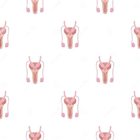 Male Reproductive System Icon In Cartoon Style Isolated On White