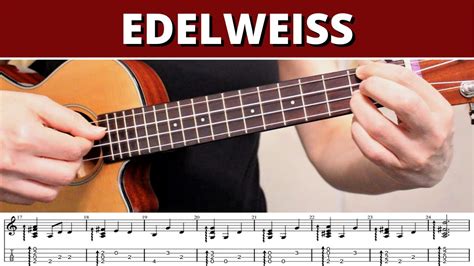 Guitar Chords Edelweiss