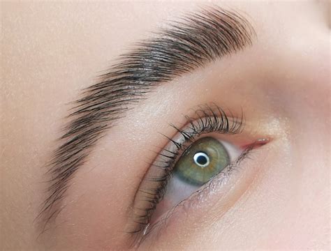 Services Lashbrow Artist Beauty Salon Canberra Lash Extensions